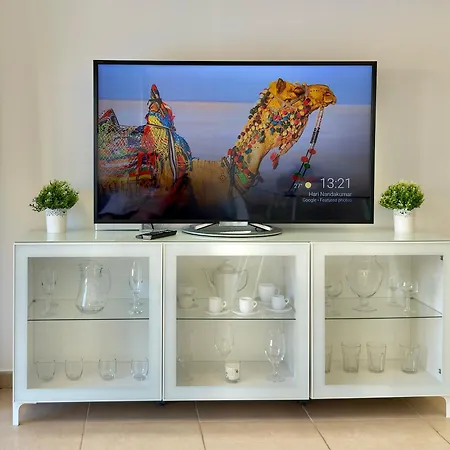 Sunset Mocan Palm-mar