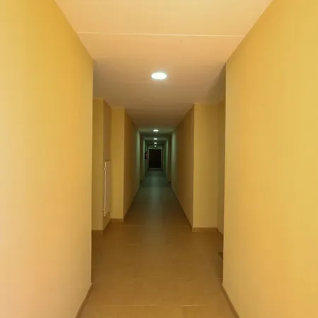 Sunset Mocan Palm-mar