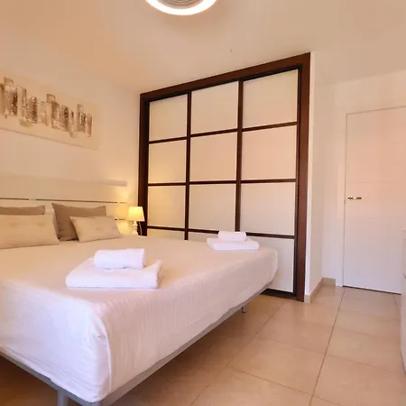 Sunset Mocan Palm-mar