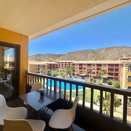 Sunset Mocan Palm-mar